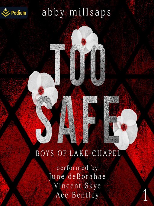 Cover image for Too Safe